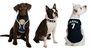 Urban Pup launches Scotland FA branded football shirts and accessories for dogs