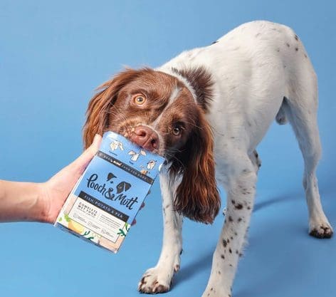Pooch & Mutt launches new ‘low fat’ food for dogs