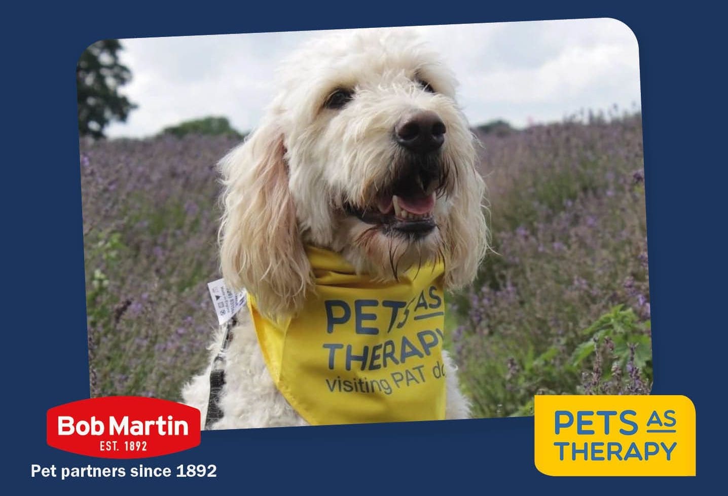Bob Martin partners with Pets As Therapy 