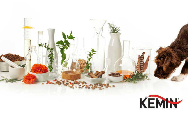 Using Natural Antioxidants Effectively 