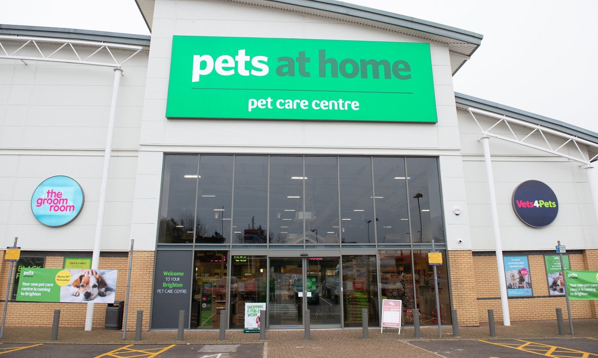 Pets at Home launches £100K feline pancytopenia research fund