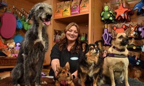 Slickers Dog House wins Beco inaugural award