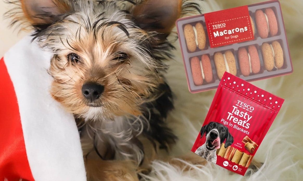 Pet gift demand set to surge this Christmas