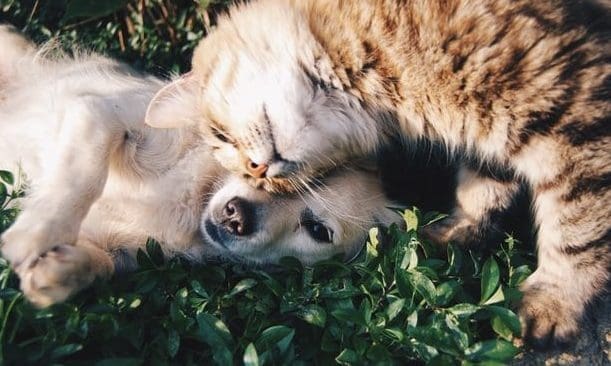 The profitability of partnerships