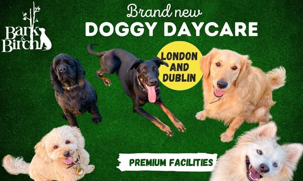 Bark & Birch to expand Doggy Daycare in London and Dublin