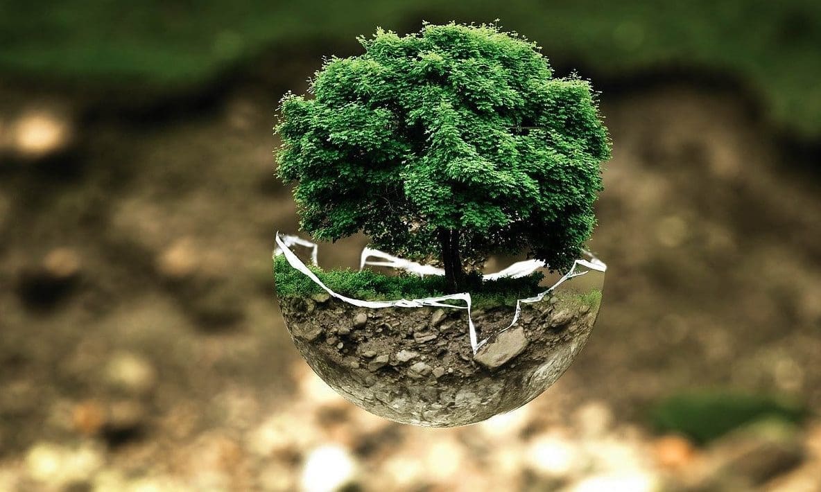 Royal Canin aims to be carbon neutral by 2025