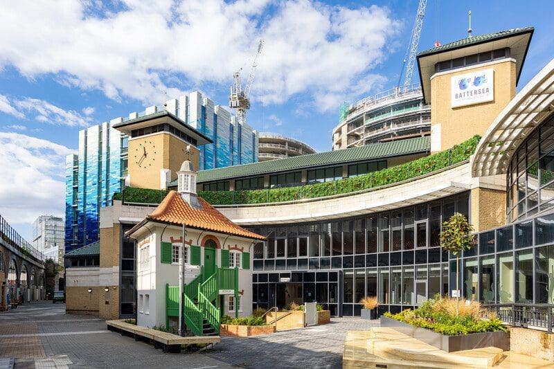 Battersea partners with NetSuite to help animals