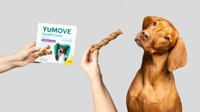 YuMOVE moves into dental care with new chews