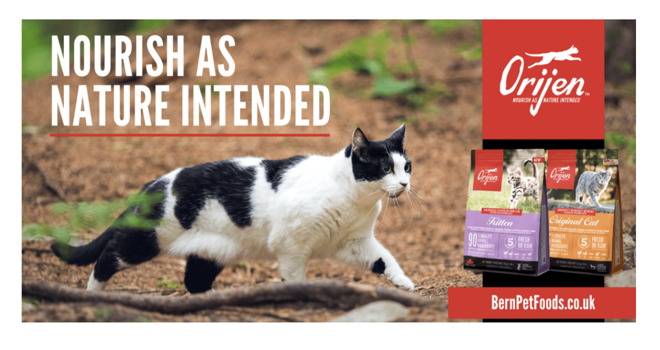 Orijen cat foods: the pinnacle of nature’s nourishment
