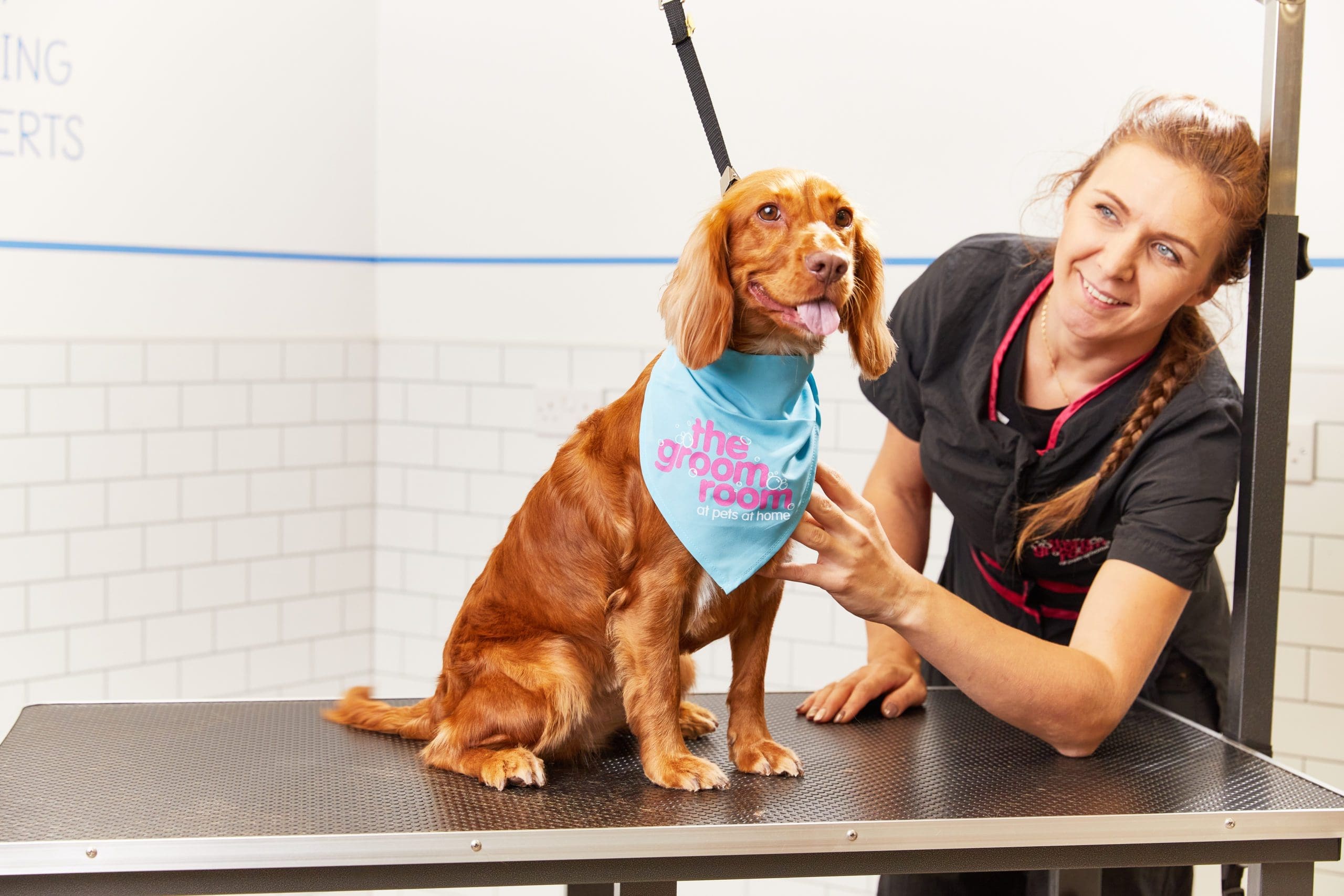 iPET Network and Pets at Home announce new partnership