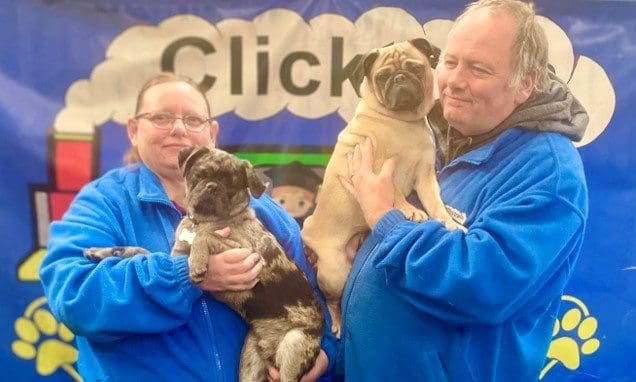 Clicktrain K9 Centre to offer iPET Network qualifications