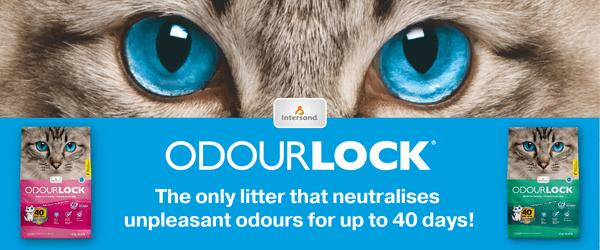 Five essential characteristics of good litter