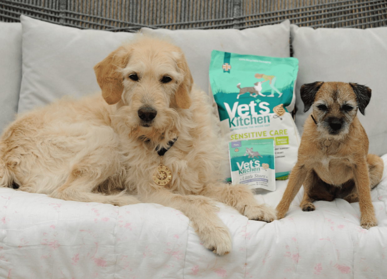 Vet’s Kitchen launches Senior Dog Club