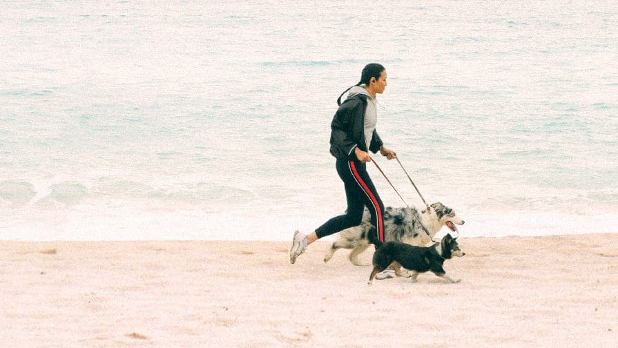 Purina’s passion shines through as it launches new commitments to pets, people and the planet