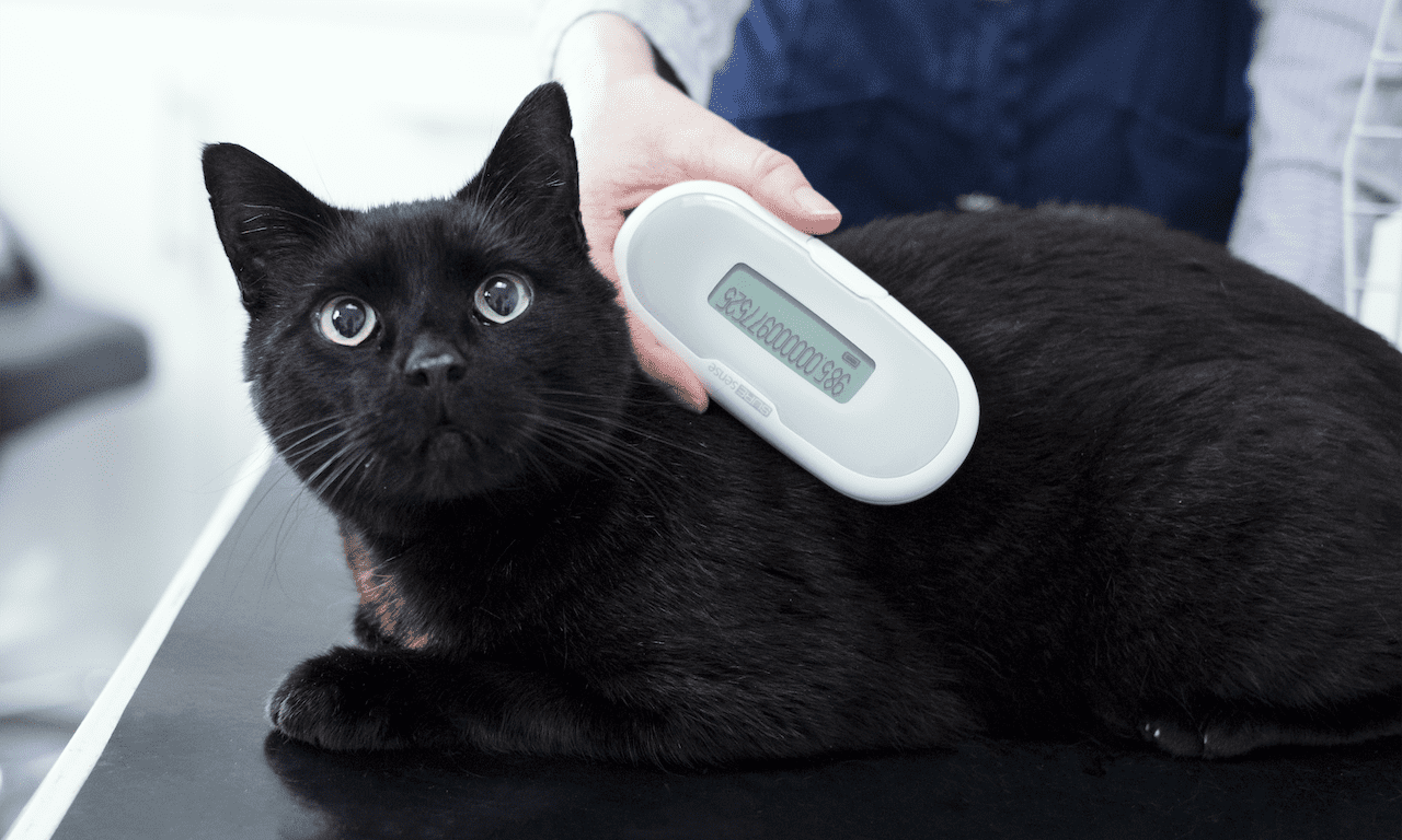 Animalcare sells Identicare to PE group
