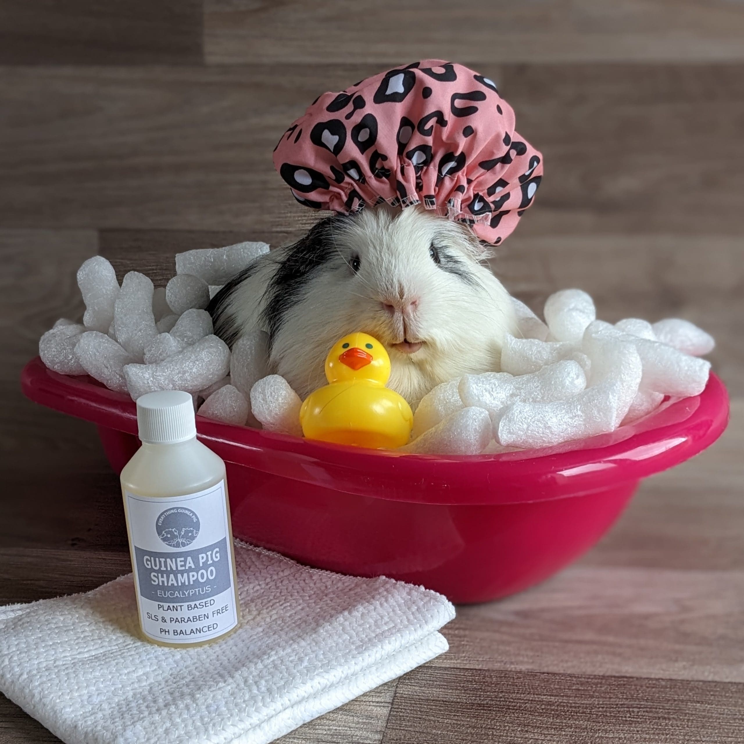 Everything Guinea Pigs launches new guinea pig shampoo