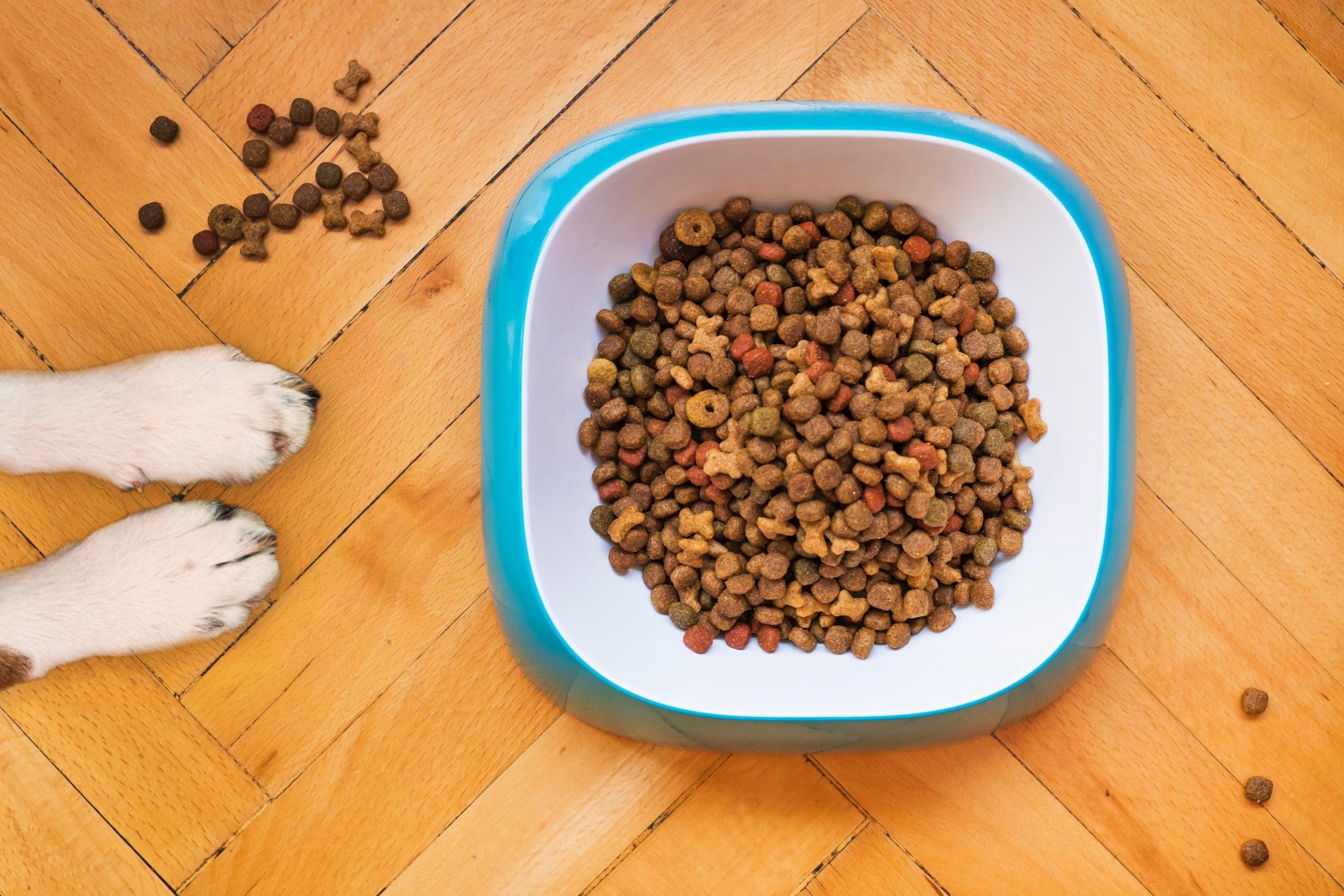 Pet Brands partners with RHS to launch pet product range