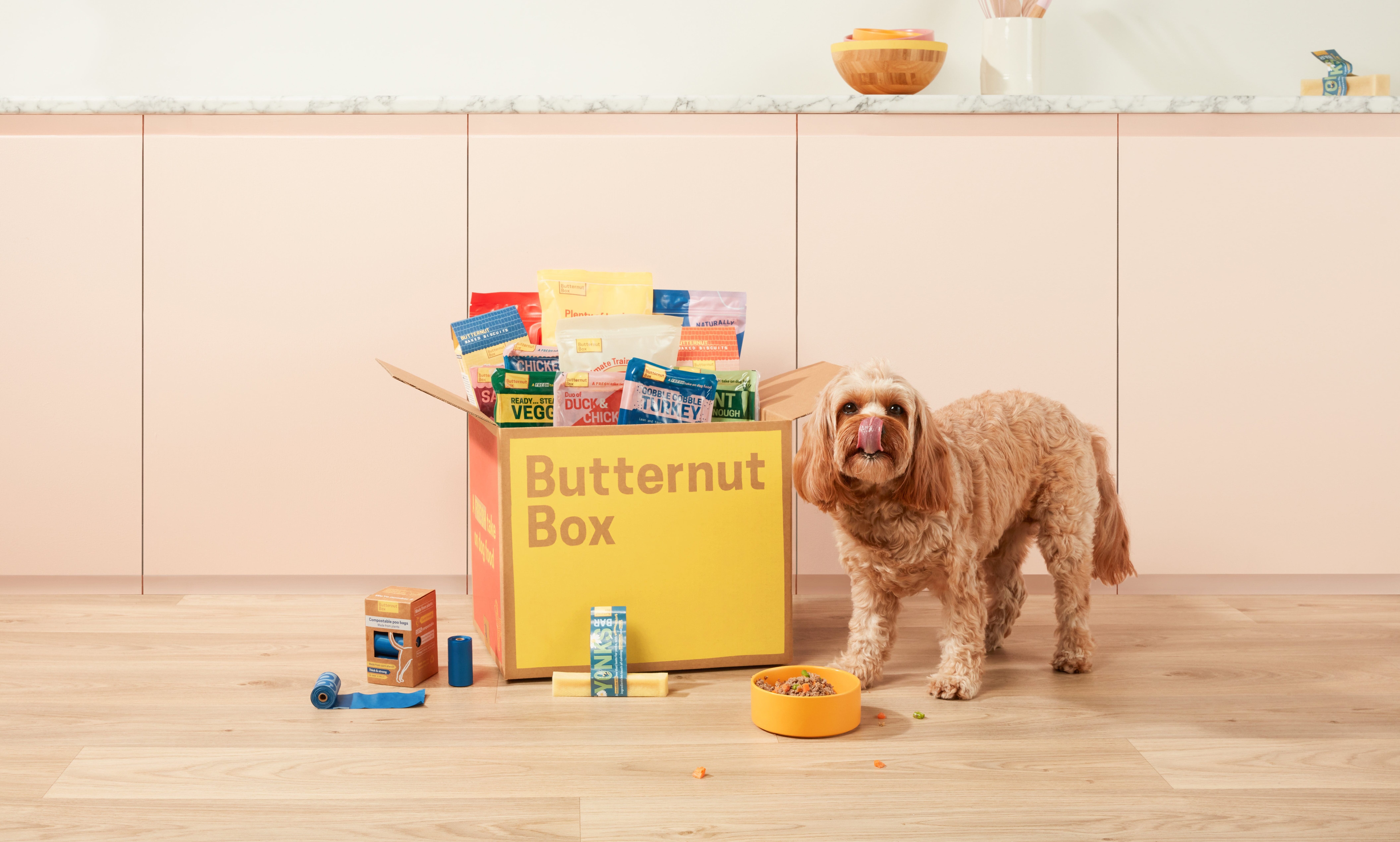 Butternut Box raises £280m in latest fundraising round