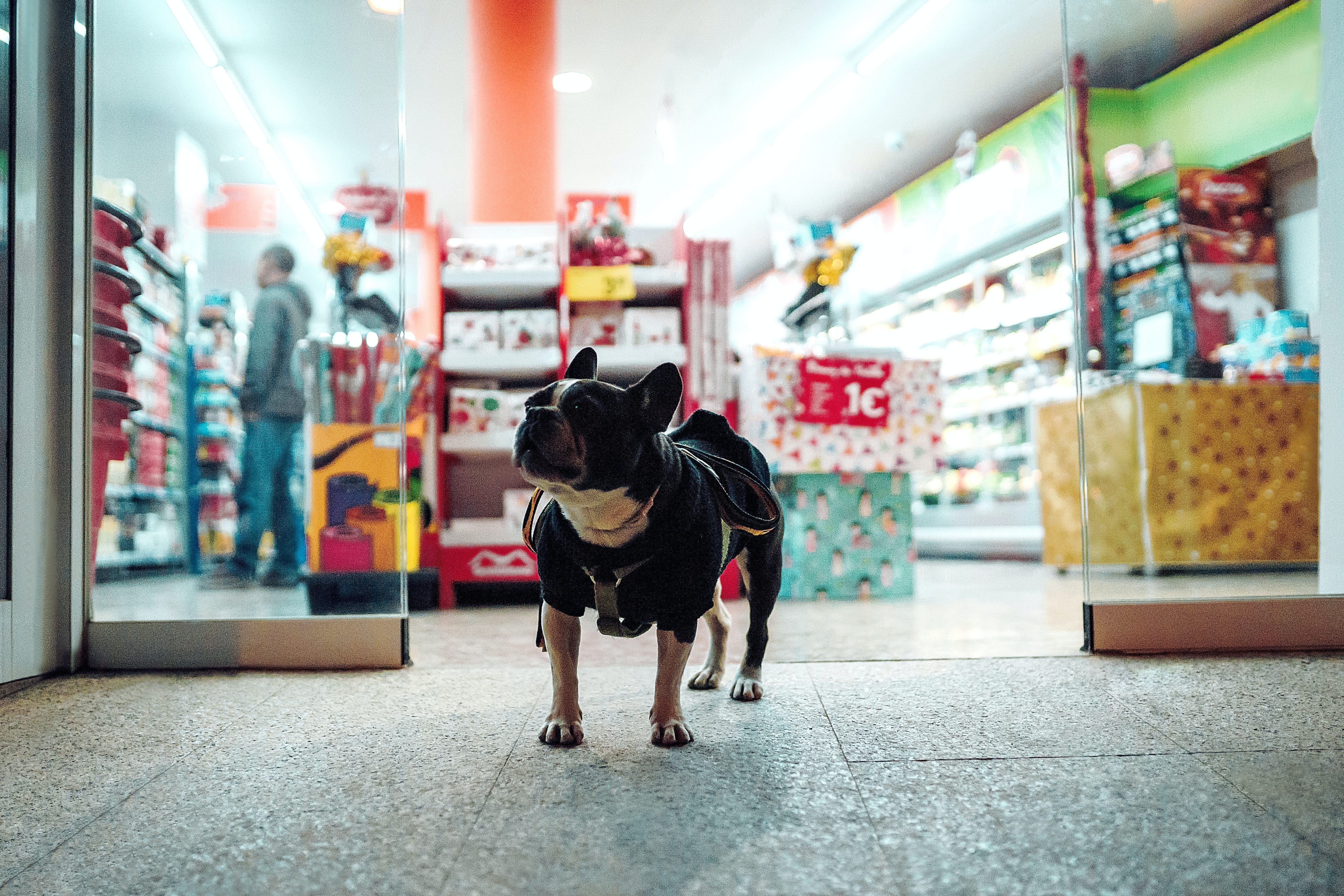 Glowcroft joins Pet Industry Federation as associate member