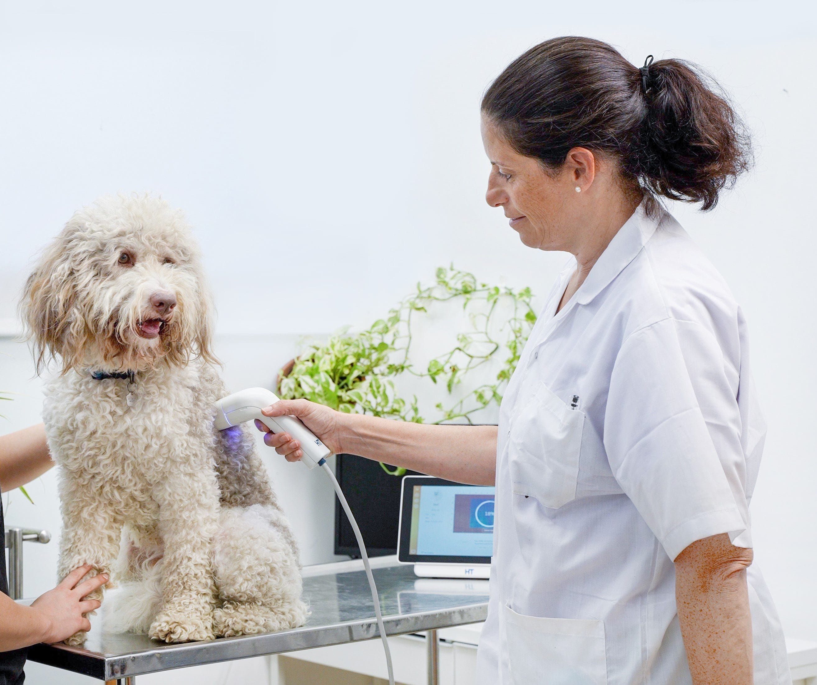 HT Vista unveils new skin cancer screening tool for dogs