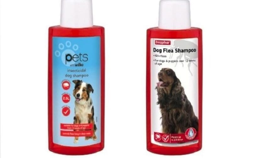 VMD recalls certain Beaphar and Wilko dog products