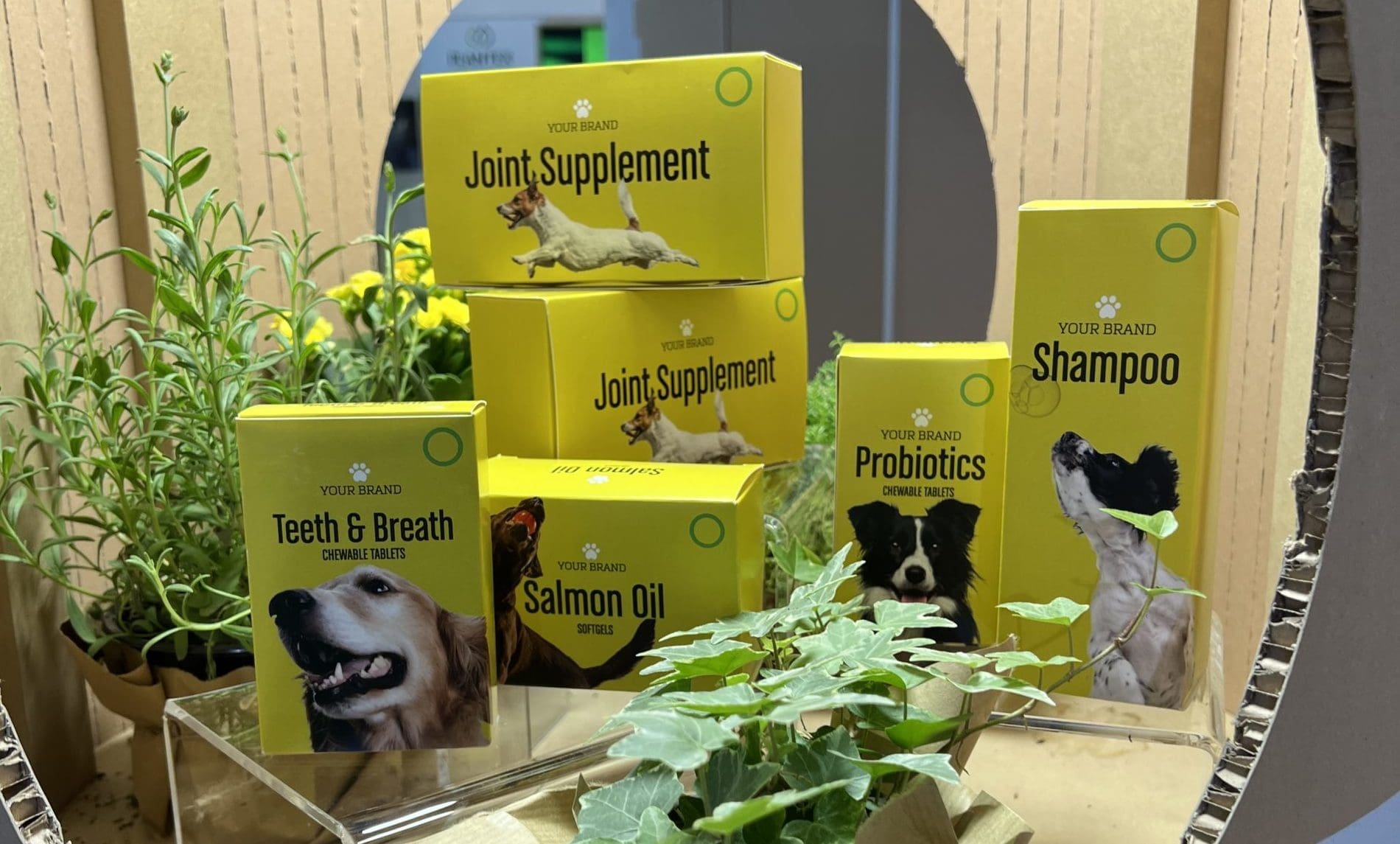 Procemsa launches new pet care supplements
