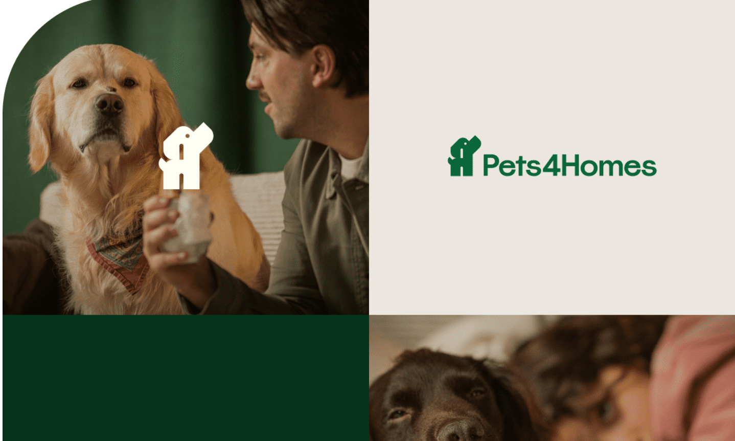 Pets4Homes announces new Puppy Protection Programme
