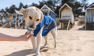 Jollyes launches summer products amid new Frozzys partnership
