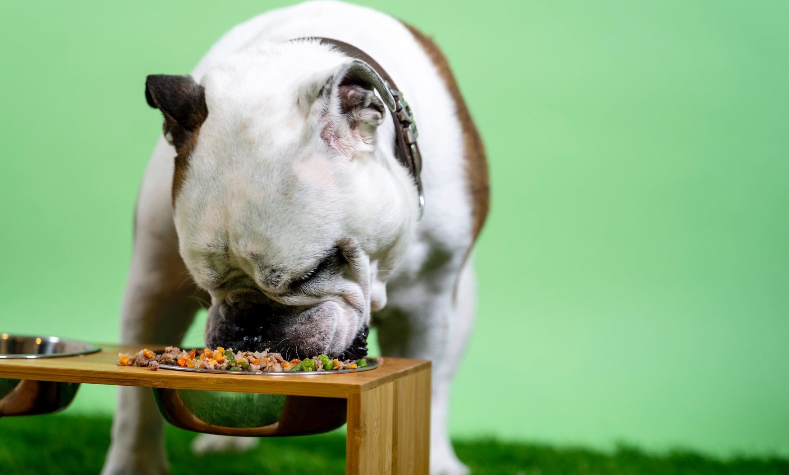 Assisi Petcare acquires Yakers