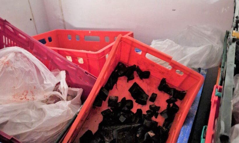 Happy Hounds director prosecuted for supplying unsafe pet food