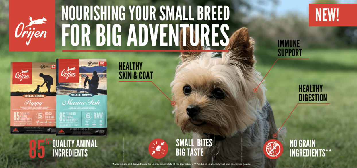 Orijen Small Breed Dog Food – Nourishing Your Small Breed for Big Adventures