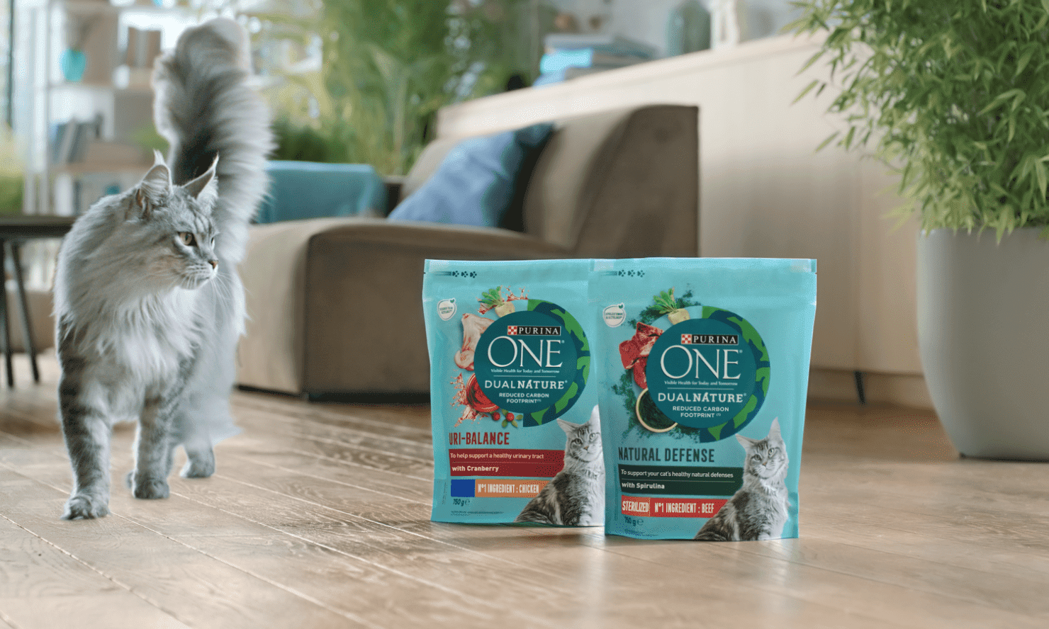 Purina Europe to launch its first carbon reduced pet food range