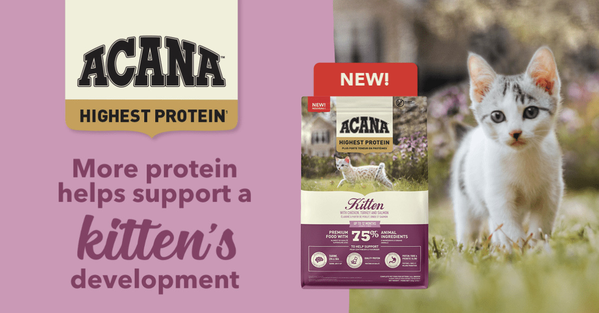 New ACANA Highest Protein Kitten