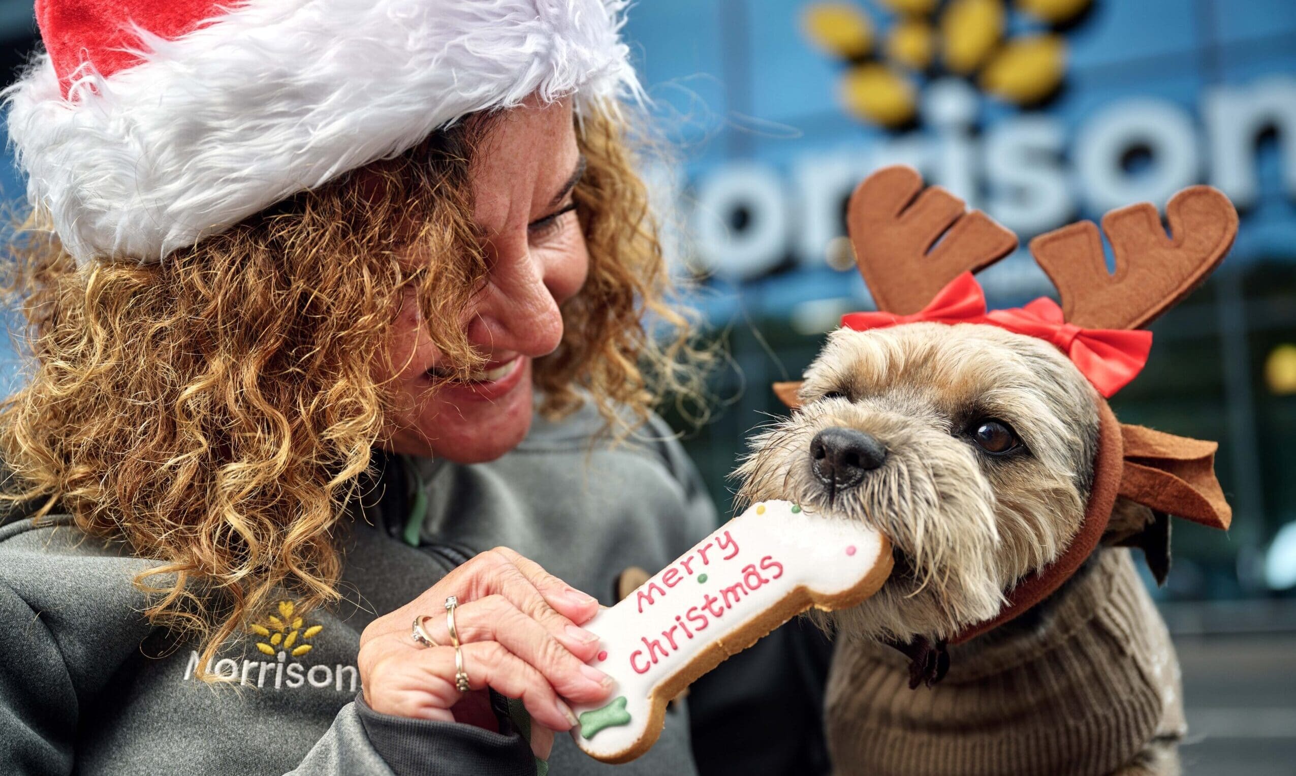 Morrisons unveils festive pet range