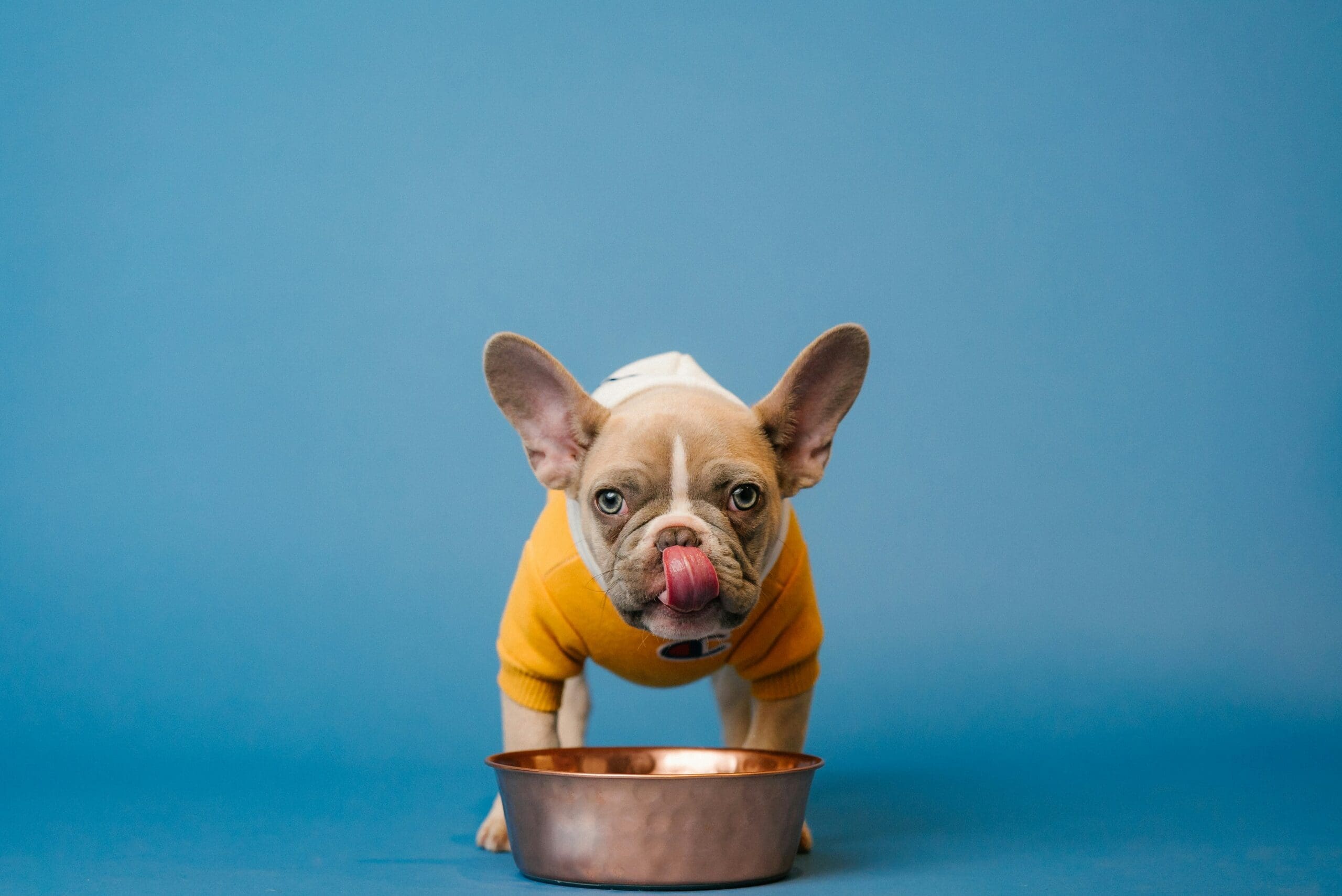 Ted’s Bowl frozen ready meals to be stocked by Ocado