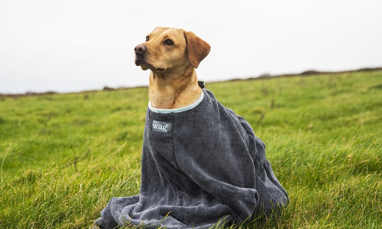 Henry Wag expands eco-friendly drying range with GRS-certified materials