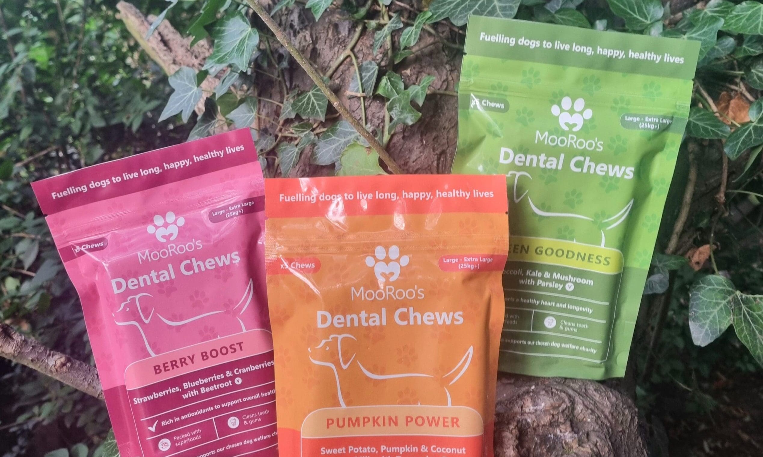 Dog treat brand MooRoo’s launches in UK