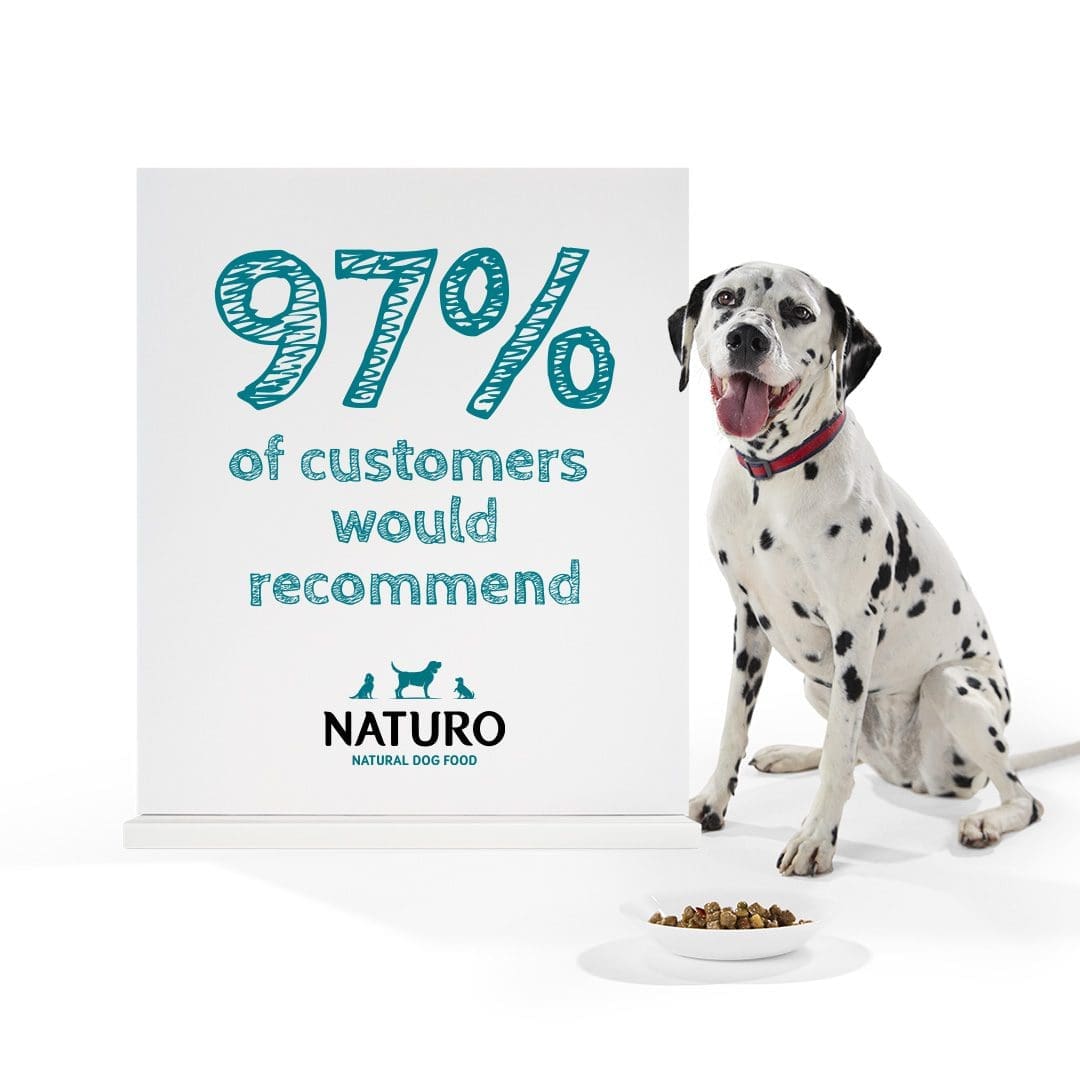 Elevating Pet Nutrition with Naturo