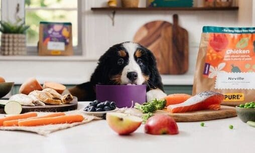 Pure Pet Food secures £15m investment from Felix Capital