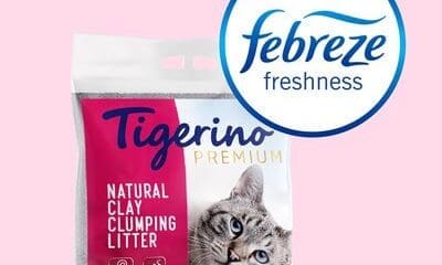 Zooplus launches new cat litter range with Febreze