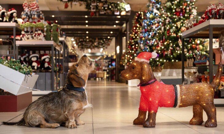 Waitrose Christmas pet sales up 964% YOY