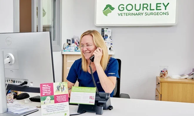 CVS launches new receptionist career pathway across UK practices