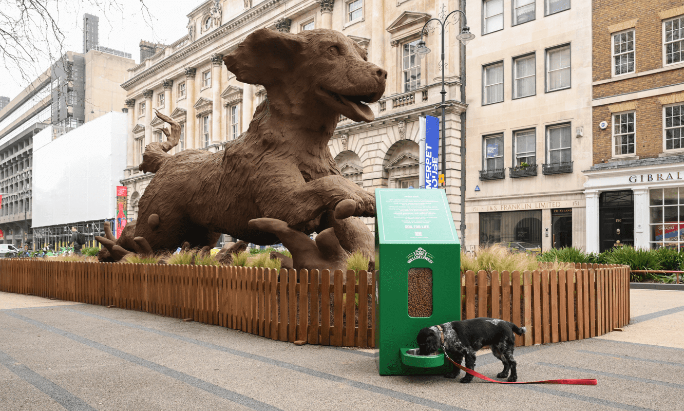 Only quarter of owners know where their pet food comes from, says Mars