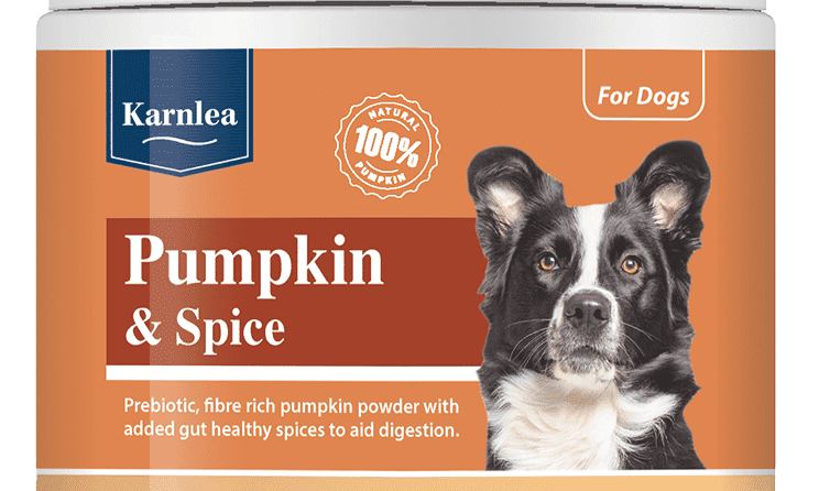 Karnlea launches new Pumpkin and Spice supplement for dogs