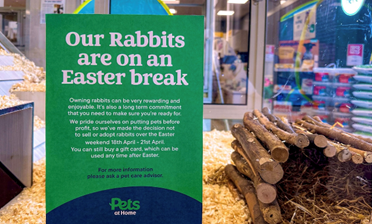 Pets at Home pauses sale of rabbits over Easter