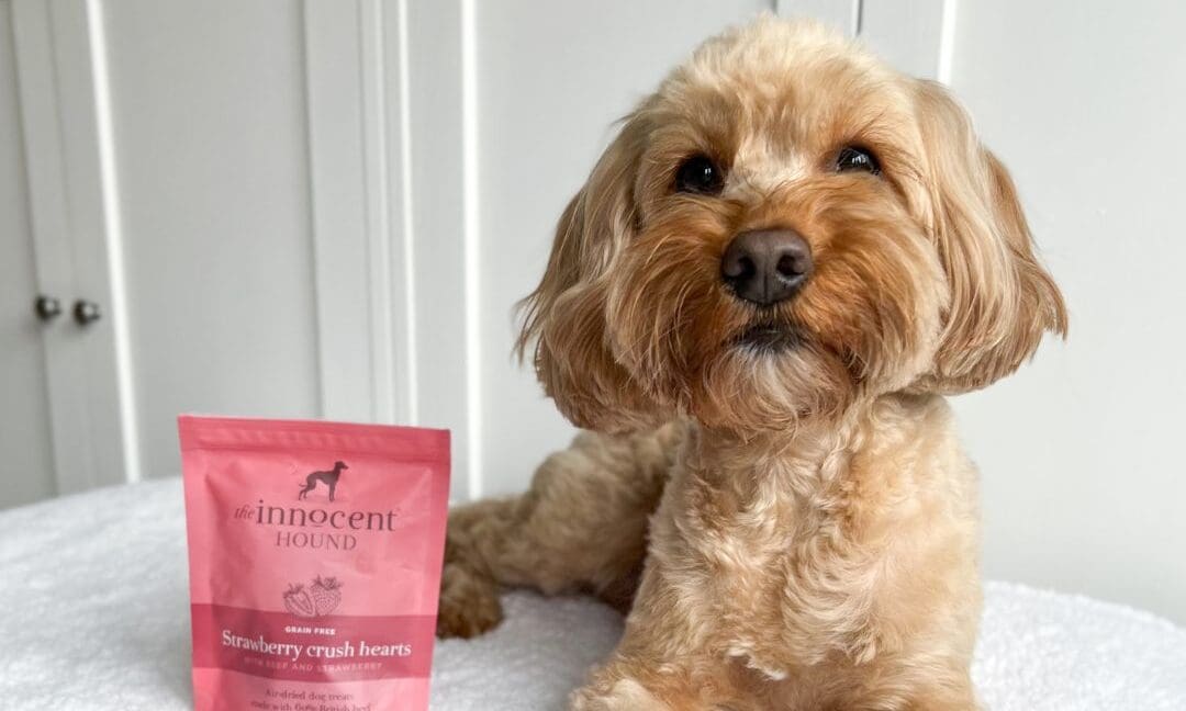 The Innocent Hound releases seasonal treat range all year round