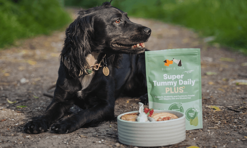 Buddy and Lola launches Super Tummy Daily Plus