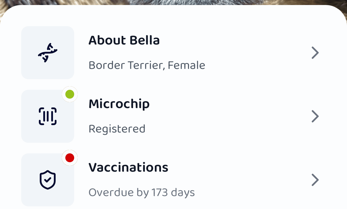 Pet Records launches Boop Digital Vaccination Certificates