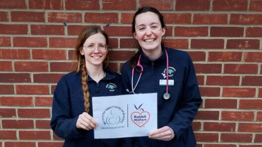 RWAF launches improved Rabbit Friendly Vet Scheme