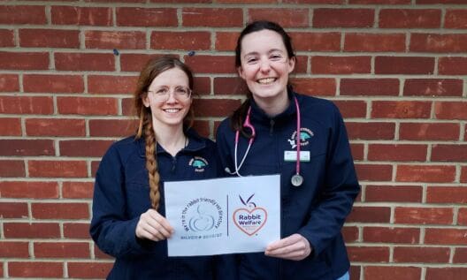 RWAF launches improved Rabbit Friendly Vet Scheme